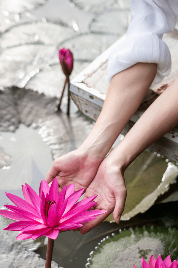 Hands holding lotus flower off of a dock